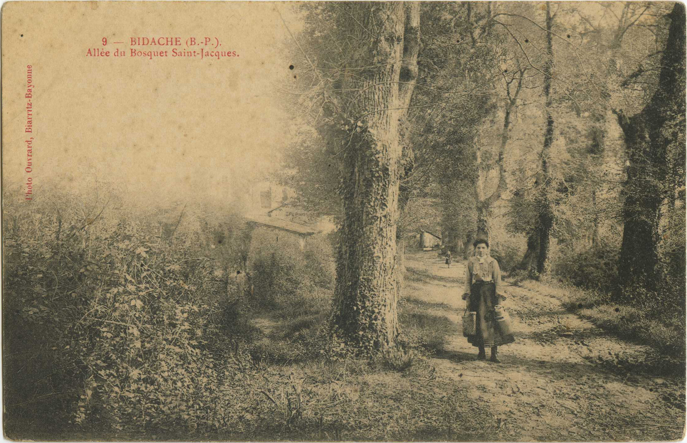 Bidache - Allée du Bosquet Saint-Jacques.
