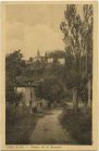 Carte postale ancienne - Came - Chemin de la Ferrerie
