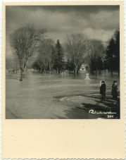 Carte postale ancienne - Dax - Photo - Crue de 1952 - Le parc Théodore Denis