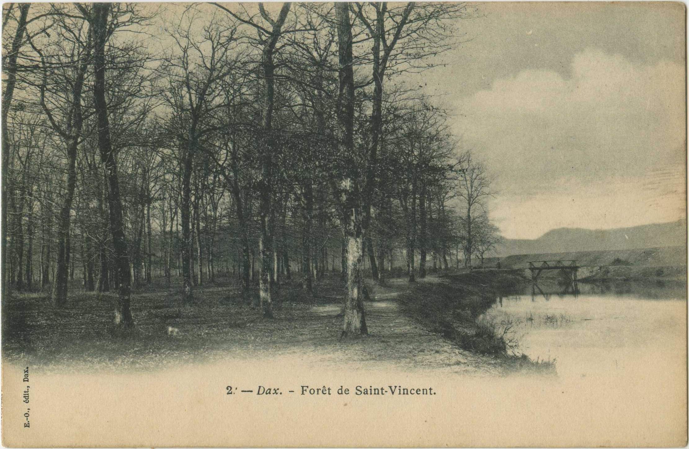 Dax - Forêt de Saint-Vincent
