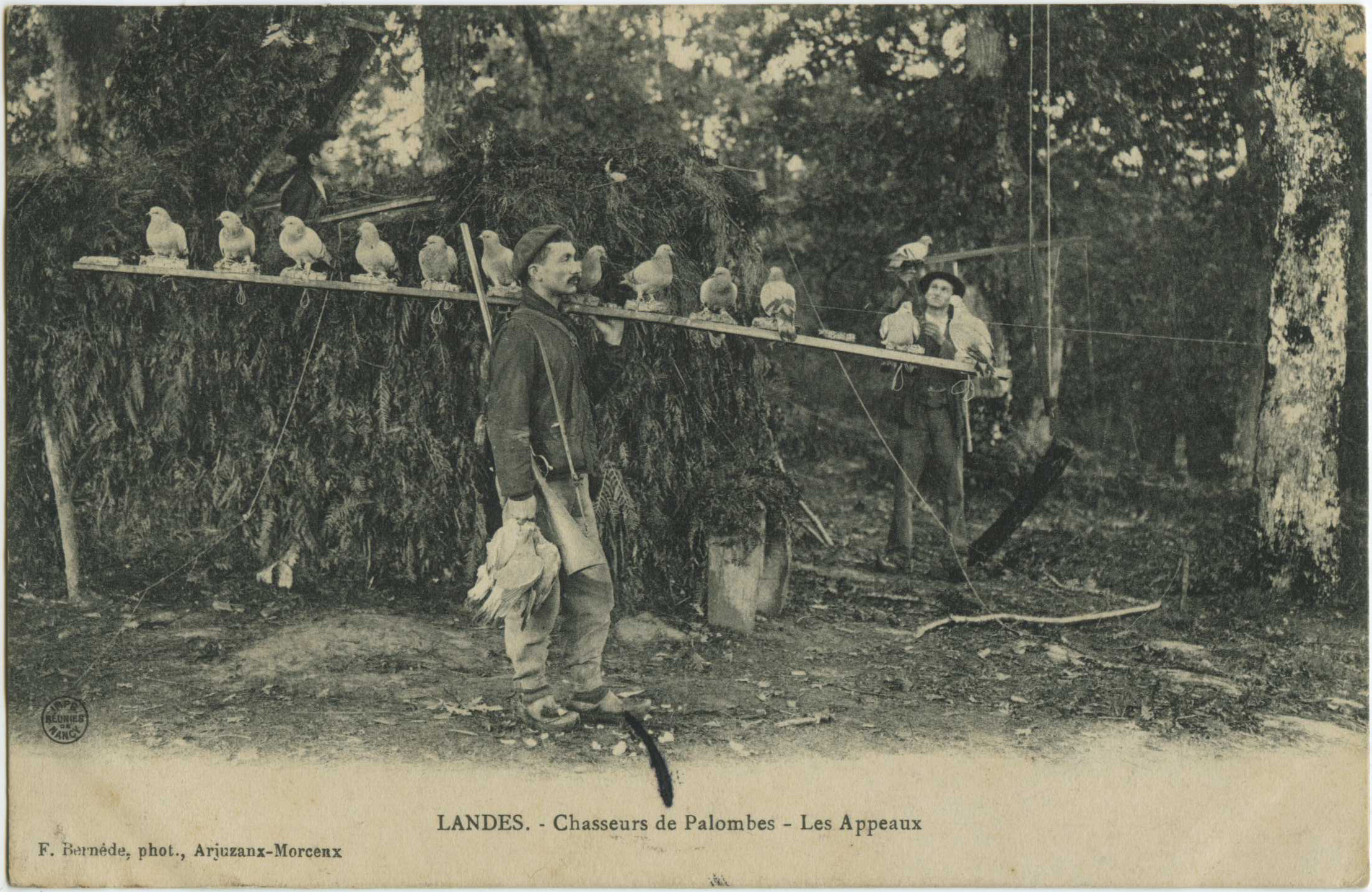 Landes - LANDES - Chasseurs de Palombes - Les Appeaux