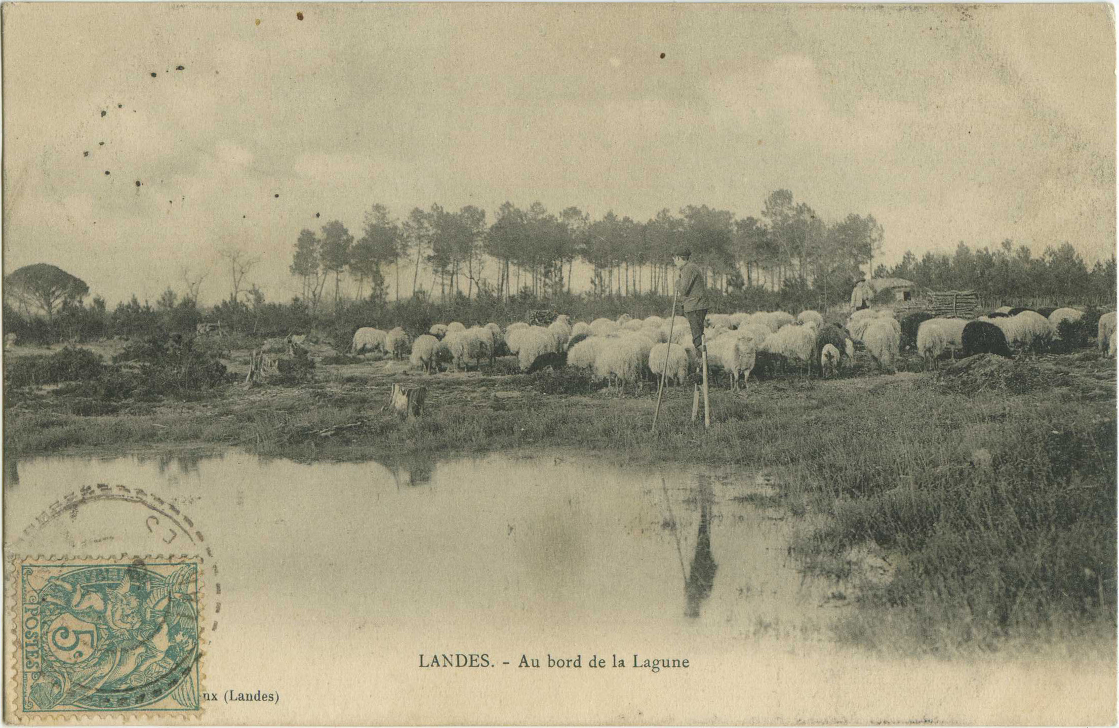 Landes - LANDES - Au bord de la Lagune