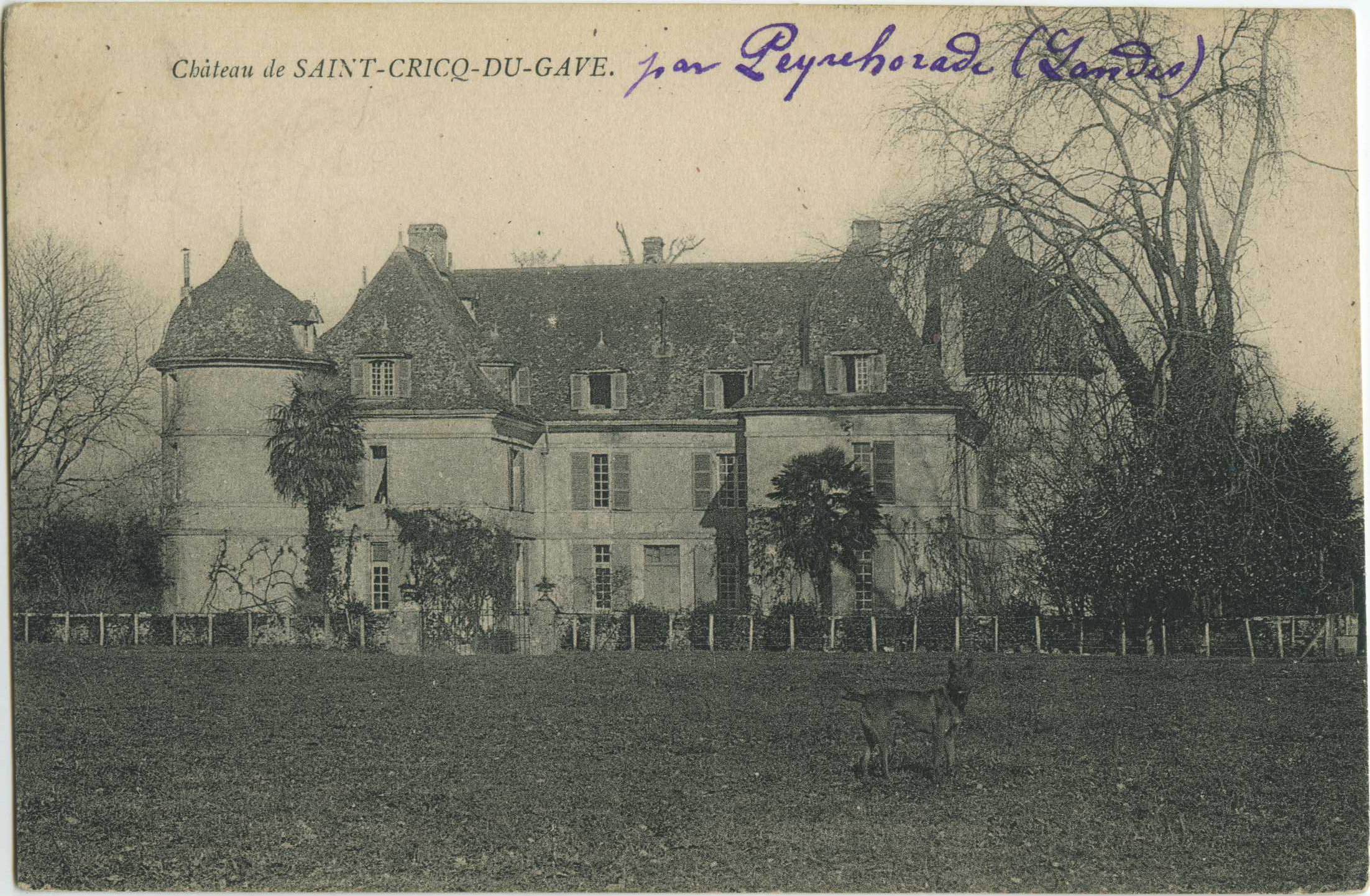Saint-Cricq-du-Gave - Château de SAINT-CRICQ-DU-GAVE.