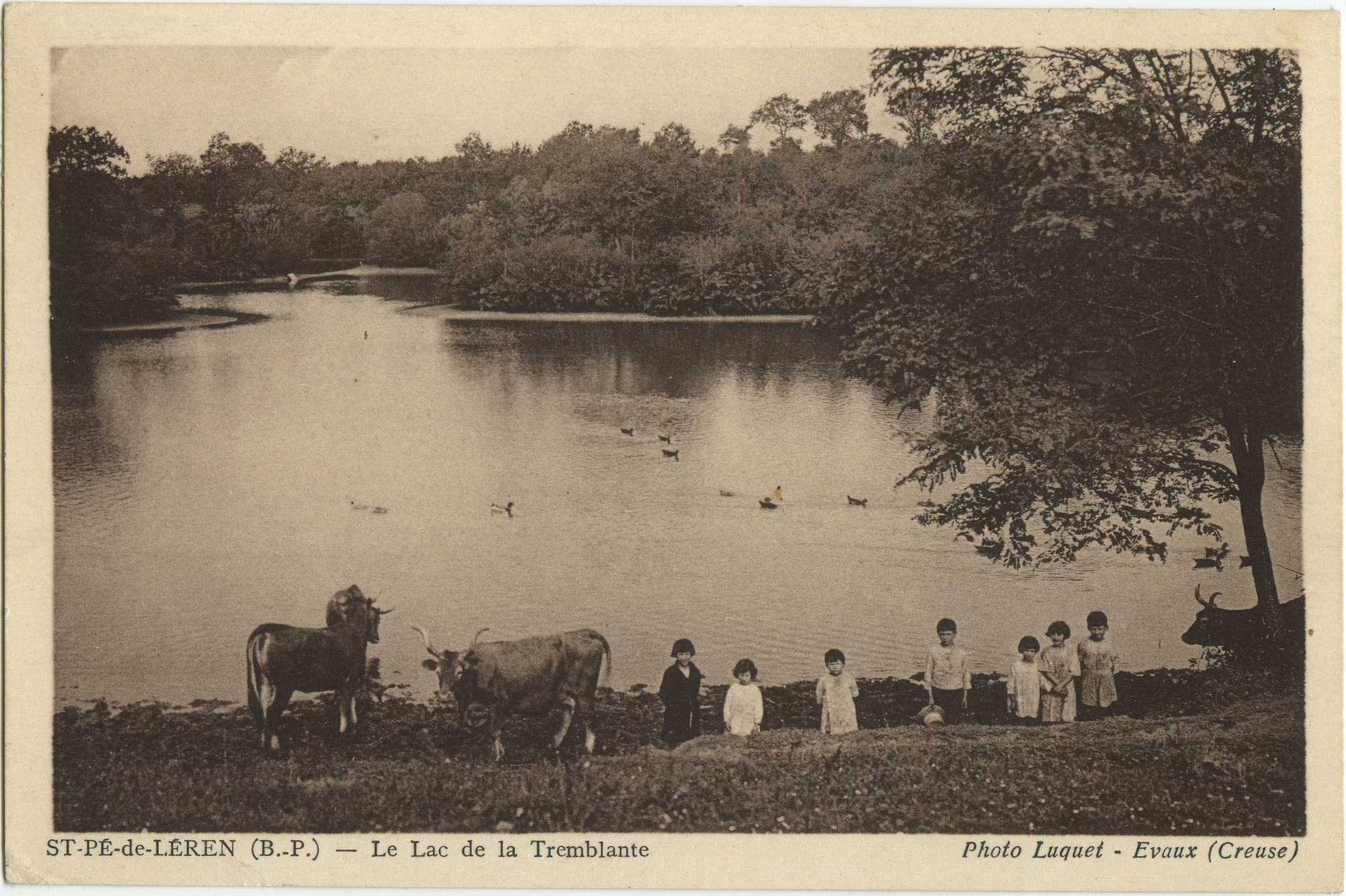 Saint-Pé-de-Léren - Le Lac de la Tremblante