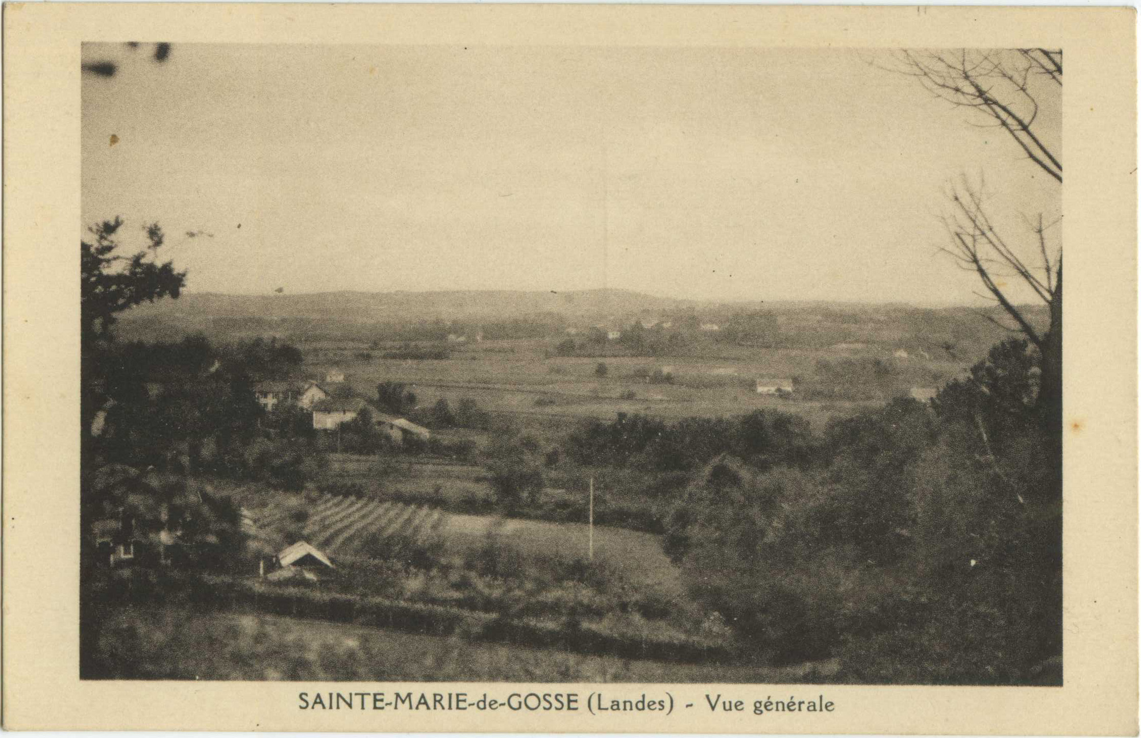 Sainte-Marie-de-Gosse - Vue générale
