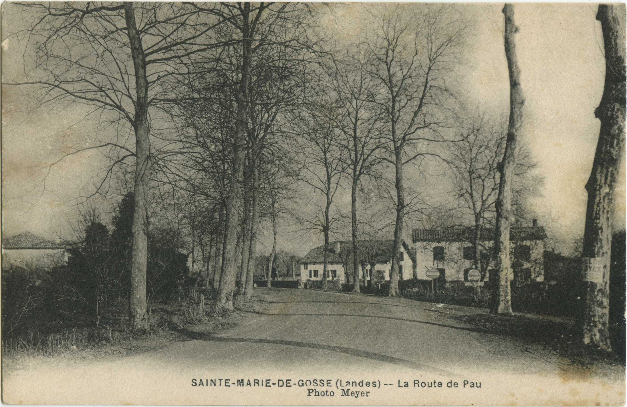 Sainte-Marie-de-Gosse - La Route de Pau