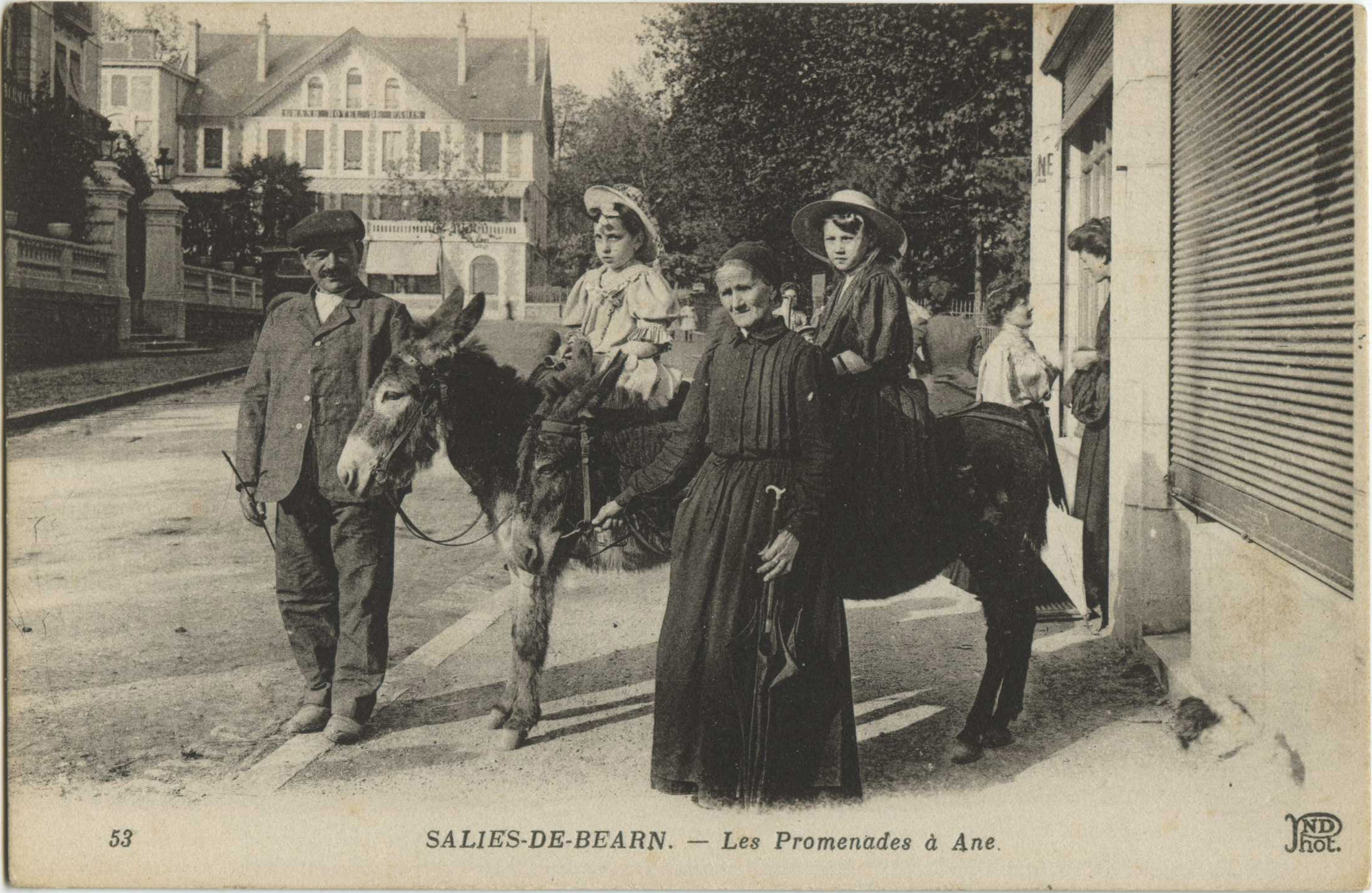 Salies-de-Béarn - Les Promenades à Ane.