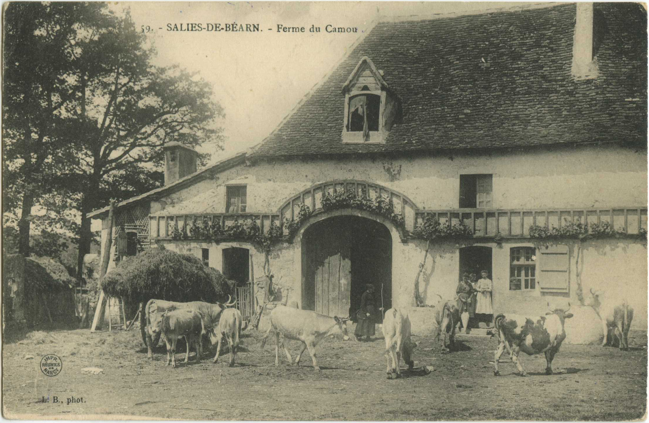 Salies-de-Béarn - Ferme du Camou