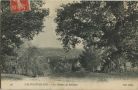 Carte postale ancienne - Salies-de-Béarn - Le Chemin de Baillenx