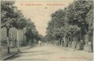 Carte postale ancienne - Salies-de-Béarn - Avenue Jeanne d'Albret