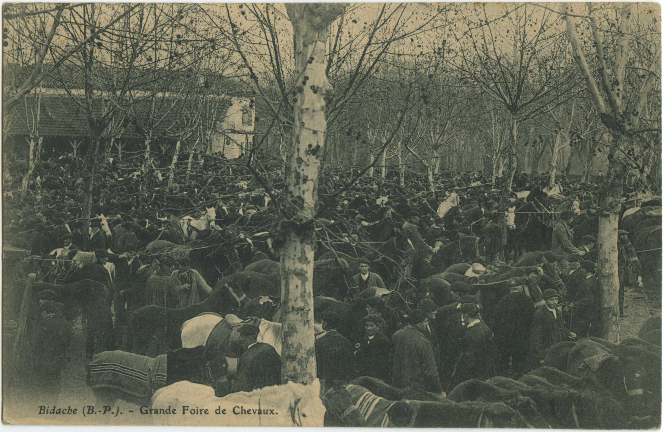 Bidache - Grande Foire de Chevaux