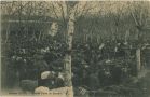 Carte postale ancienne - Bidache - Grande Foire de Chevaux Carte postale ancienne - Bidache - Grande Foire de Chevaux