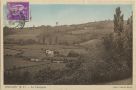 Carte postale ancienne - Bidache - La Campagne