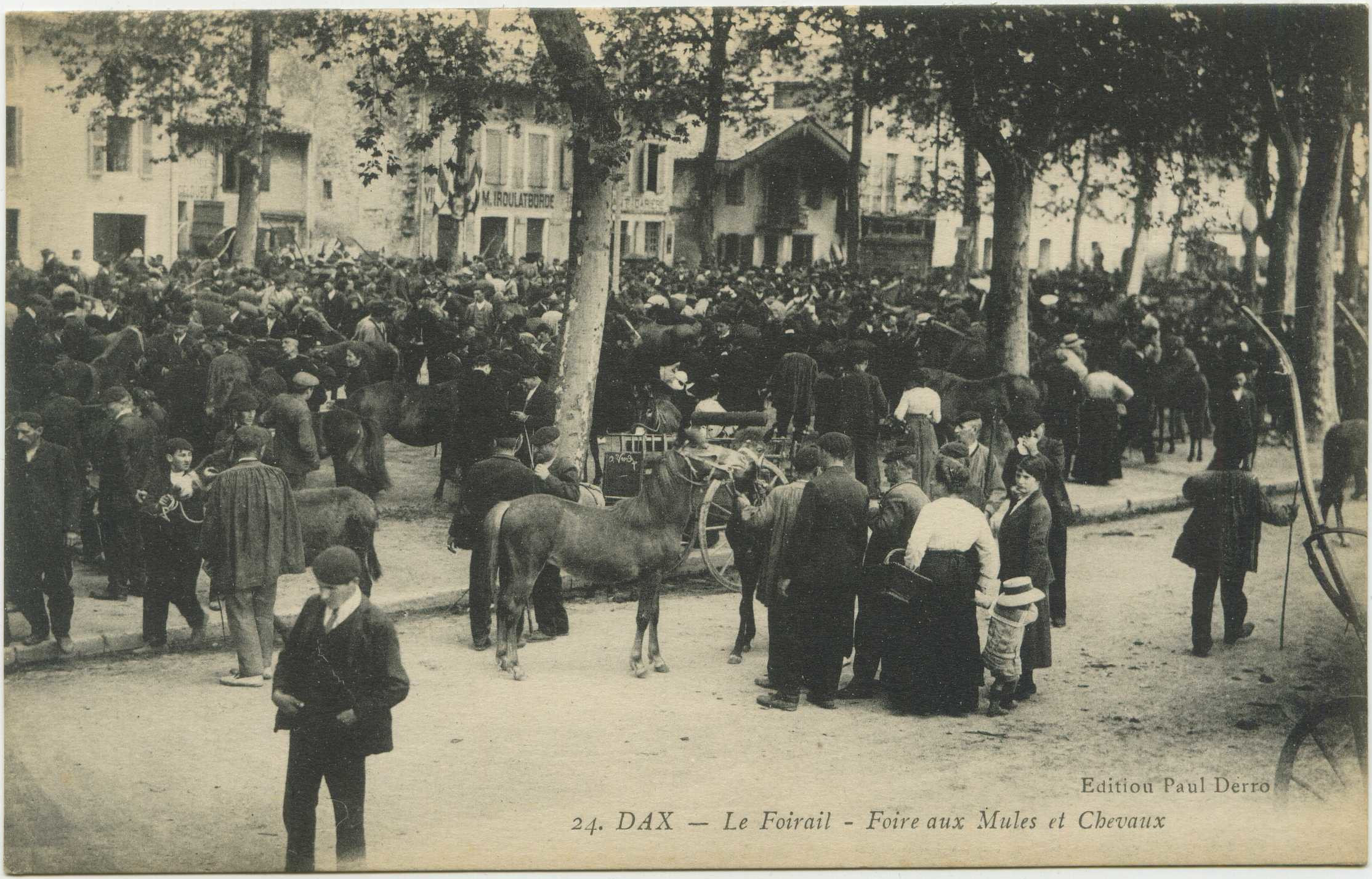 Dax - Le Foirail - Foire aux Mules et Chevaux