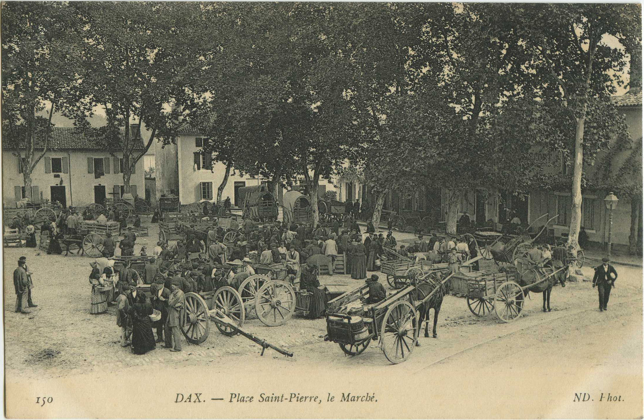 Dax - Place Saint-Pierre, le Marché.