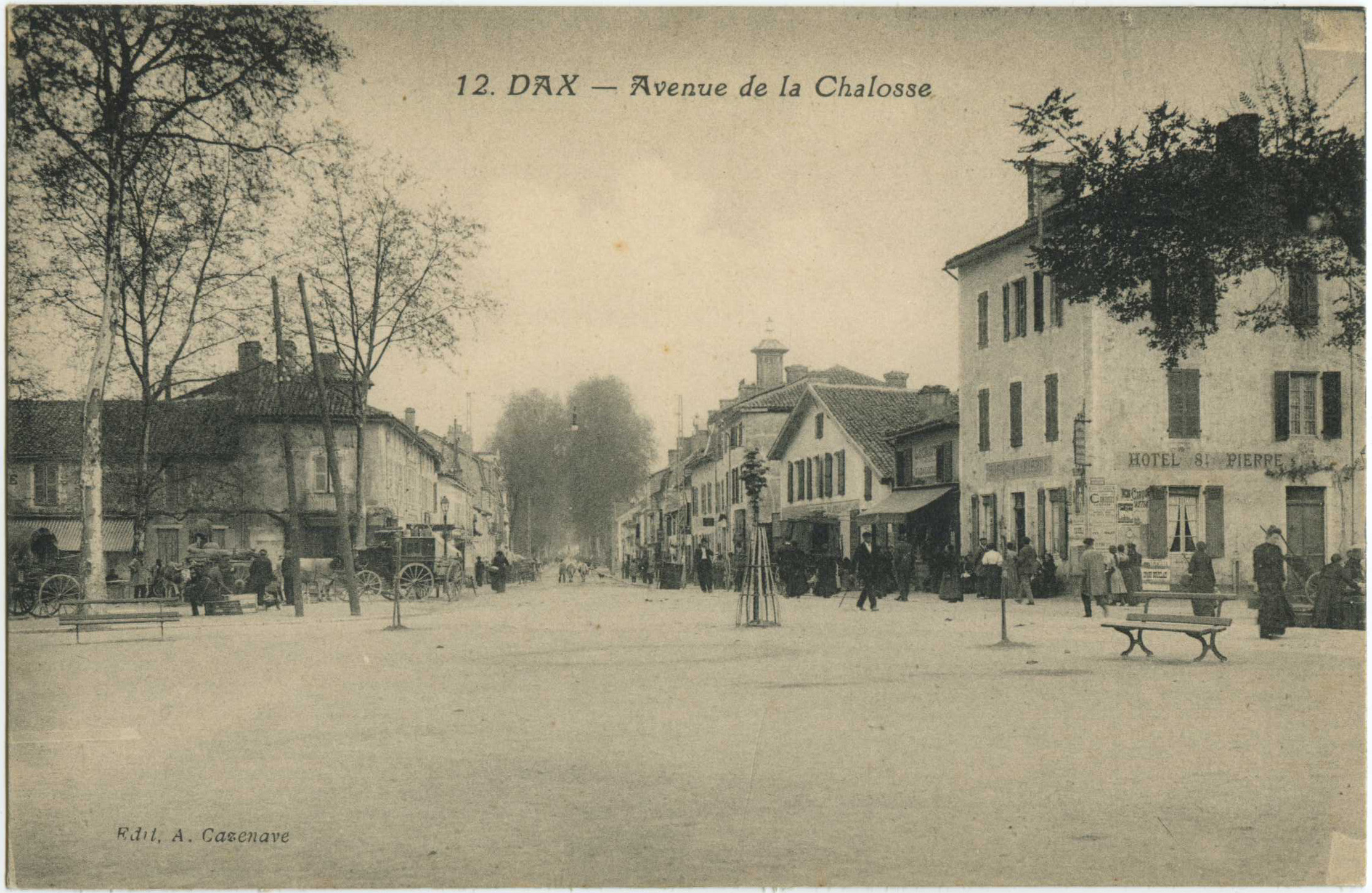 Dax - Avenue de la Chalosse