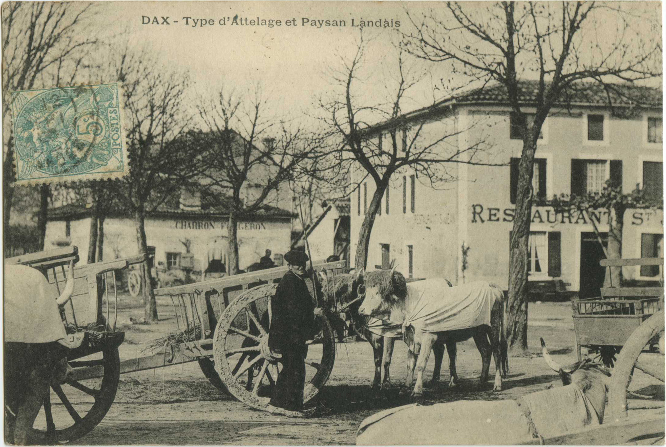 Dax - Type d'Attelage et Paysan Landais