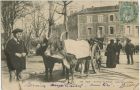 Carte postale ancienne - Dax - Attelage de Boeufs Carte postale ancienne - Dax - Attelage de Boeufs