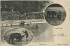 Carte postale ancienne - Dax - Une course de Toros