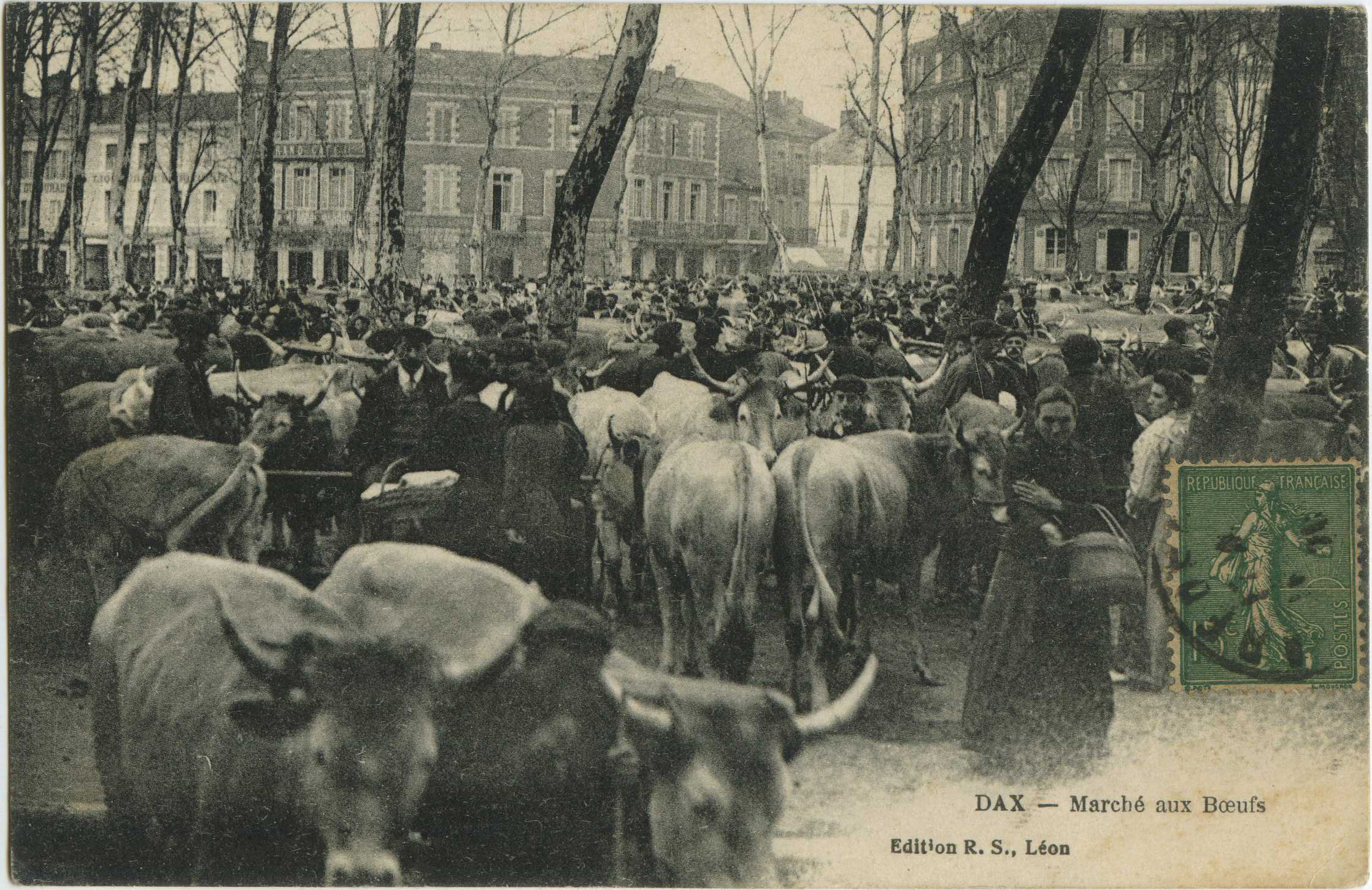 Dax - Marché aux Boeufs