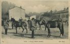 Carte postale ancienne - Dax - Poneys étalons landais. Carte postale ancienne - Dax - Poneys étalons landais.