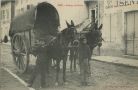 Carte postale ancienne - Dax - Attelage de Mules