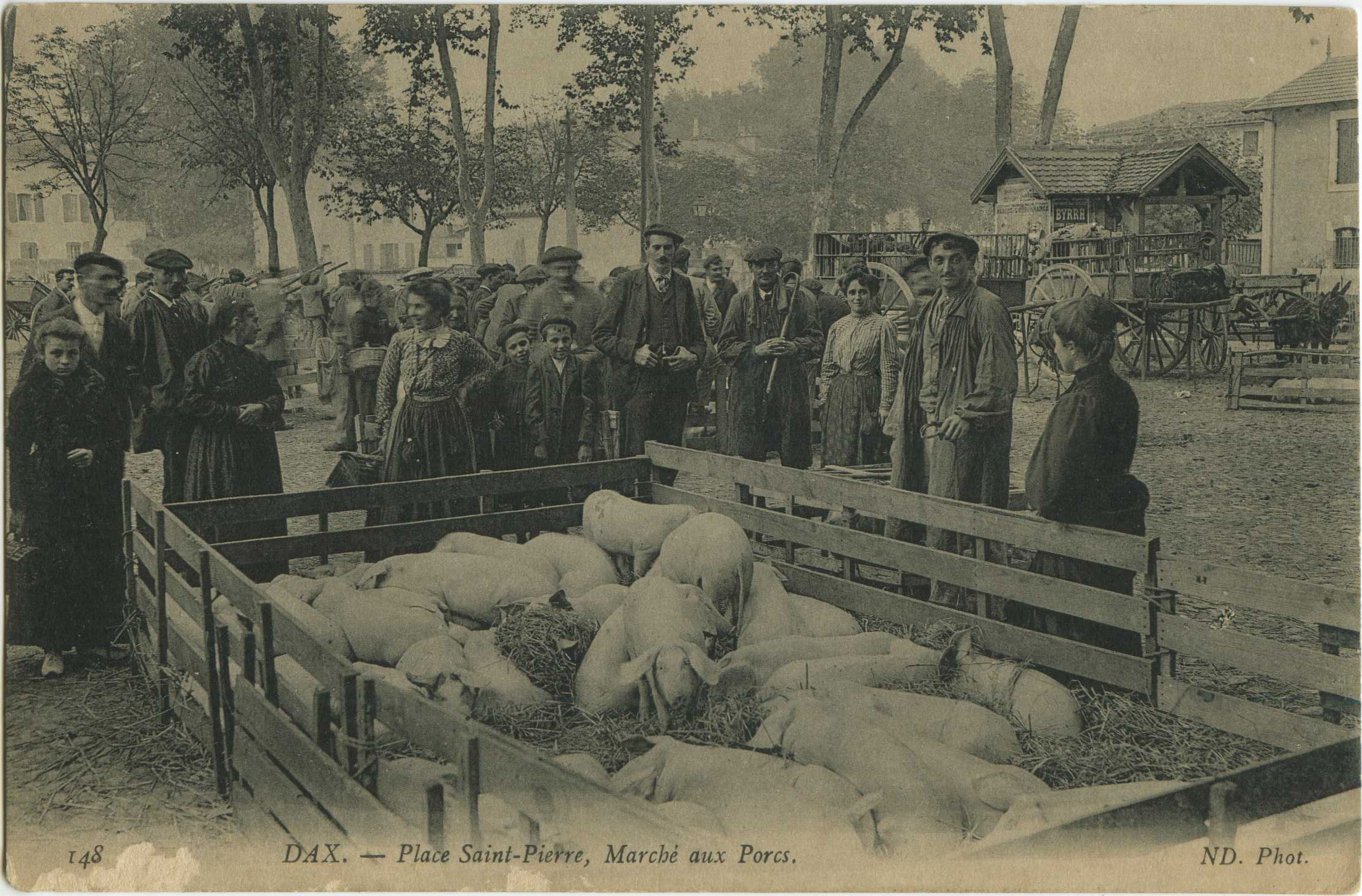 Dax - Place Saint-Pierre, Marché aux Porcs.