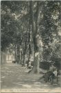 Carte postale ancienne - Dax - La Promenade des Remparts Romains.