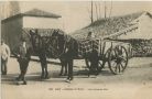 Carte postale ancienne - Dax - Attelage de Mules