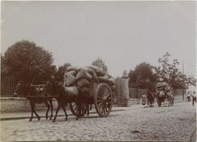 Photo ancienne - Dax - Photo - Attelages de mules au Cours de Verdun (vers 1910)