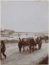 Photo ancienne - Dax - Photo - Attelages de mules au bord de l'Adour (vers 1910)