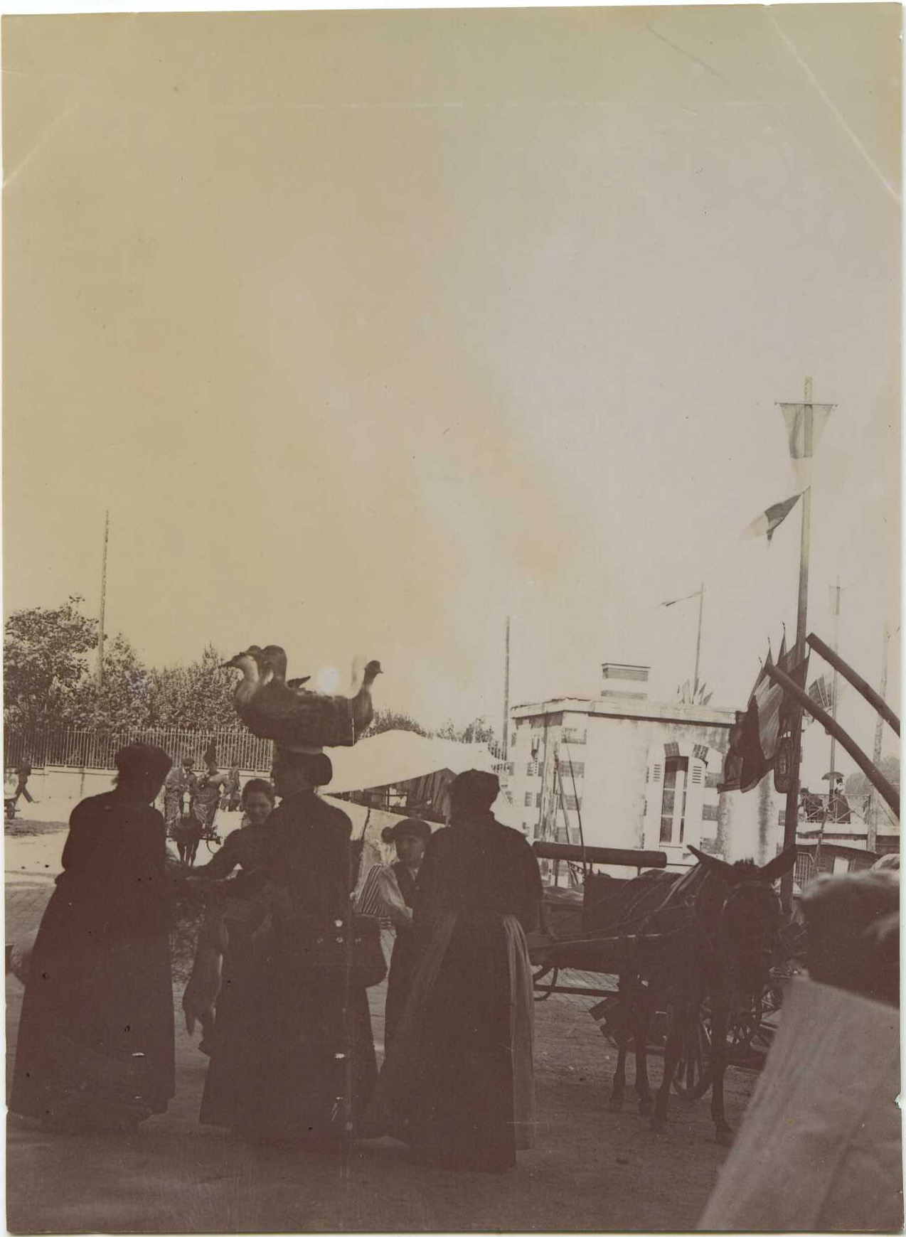 Dax - Photo - Le marché de la place Thiers (vers 1910)