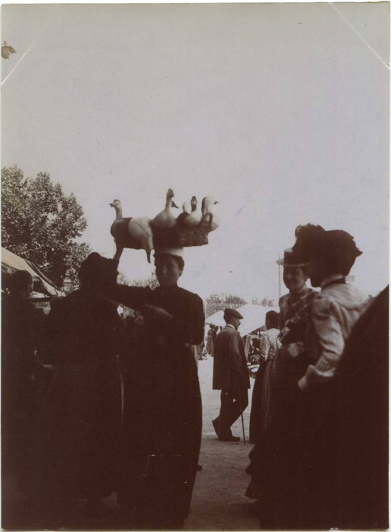 Dax - Photo - Le marché de la place Thiers (vers 1910)