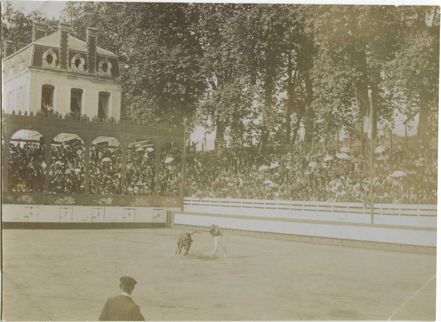 Dax - Photo - Une course landaise dans les anciennes arènes (vers 1910)