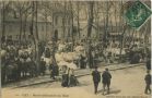 Carte postale ancienne - Dax - Marché hebdomadaire des Boeufs