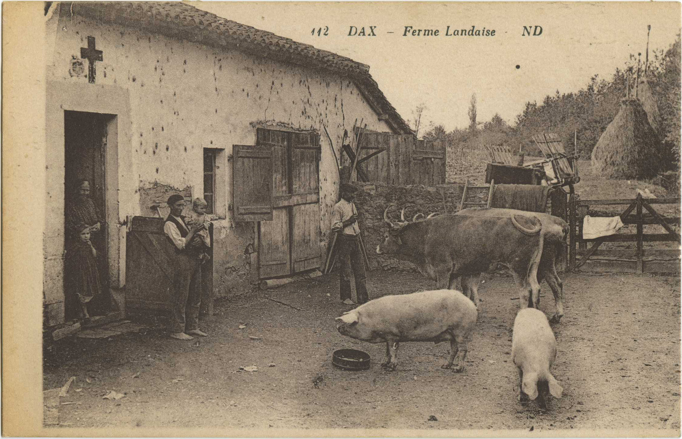 Dax - Ferme Landaise