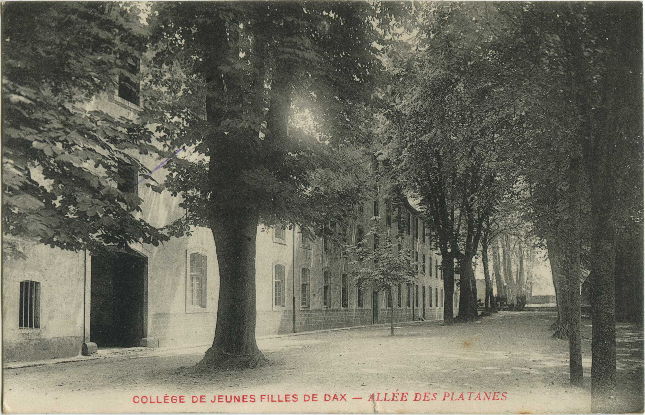 Dax - COLLÈGE DE JEUNES FILLES DE DAX - ALLÉE DES PLATANES