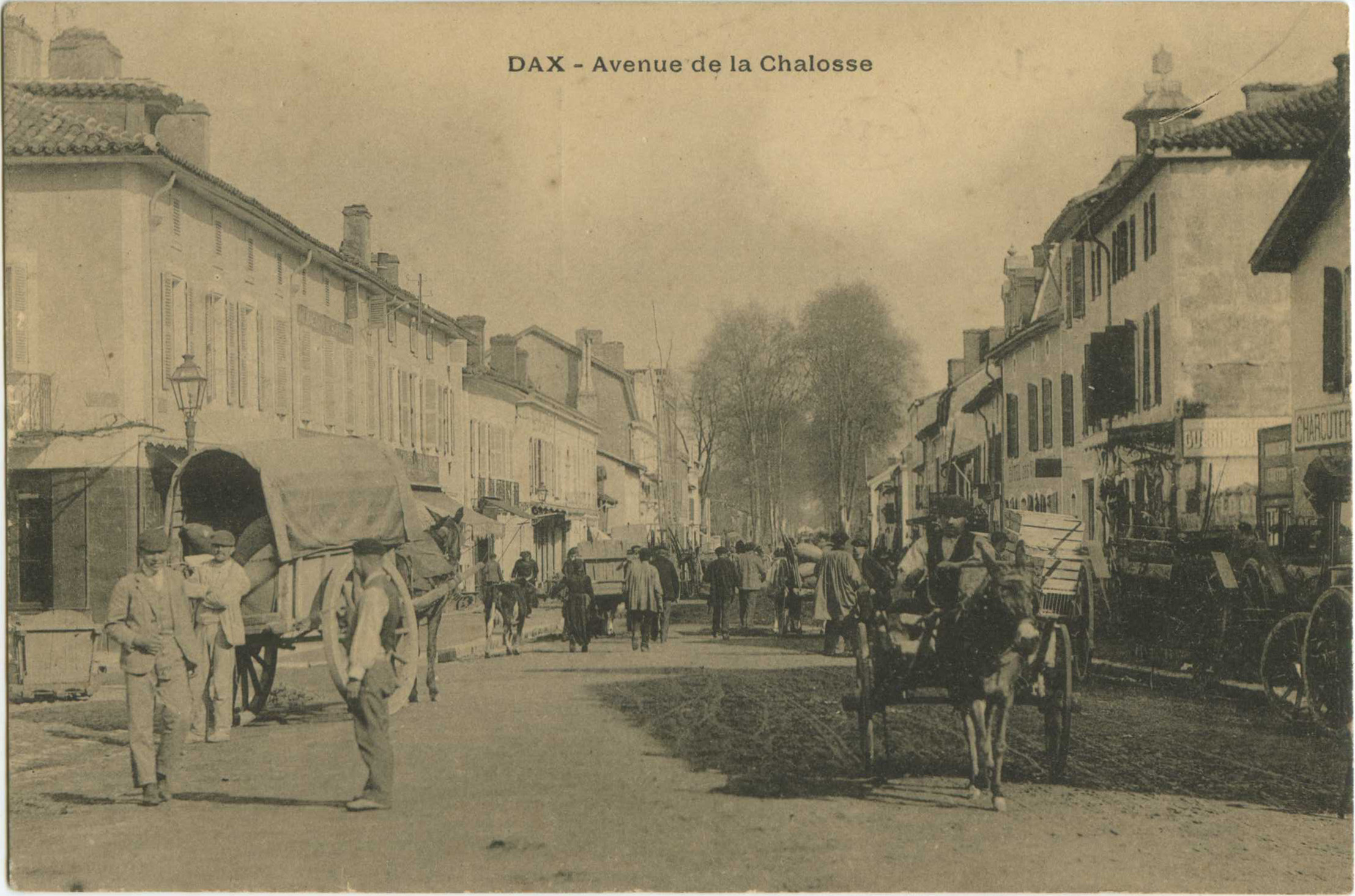 Dax - Avenue de la Chalosse