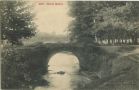 Carte postale ancienne - Dax - Bois de Quillacq