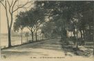 Carte postale ancienne - Dax - La Promenade des Baignots