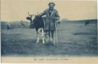 Carte postale ancienne - Dax - Au pays Landais - Le Vacher