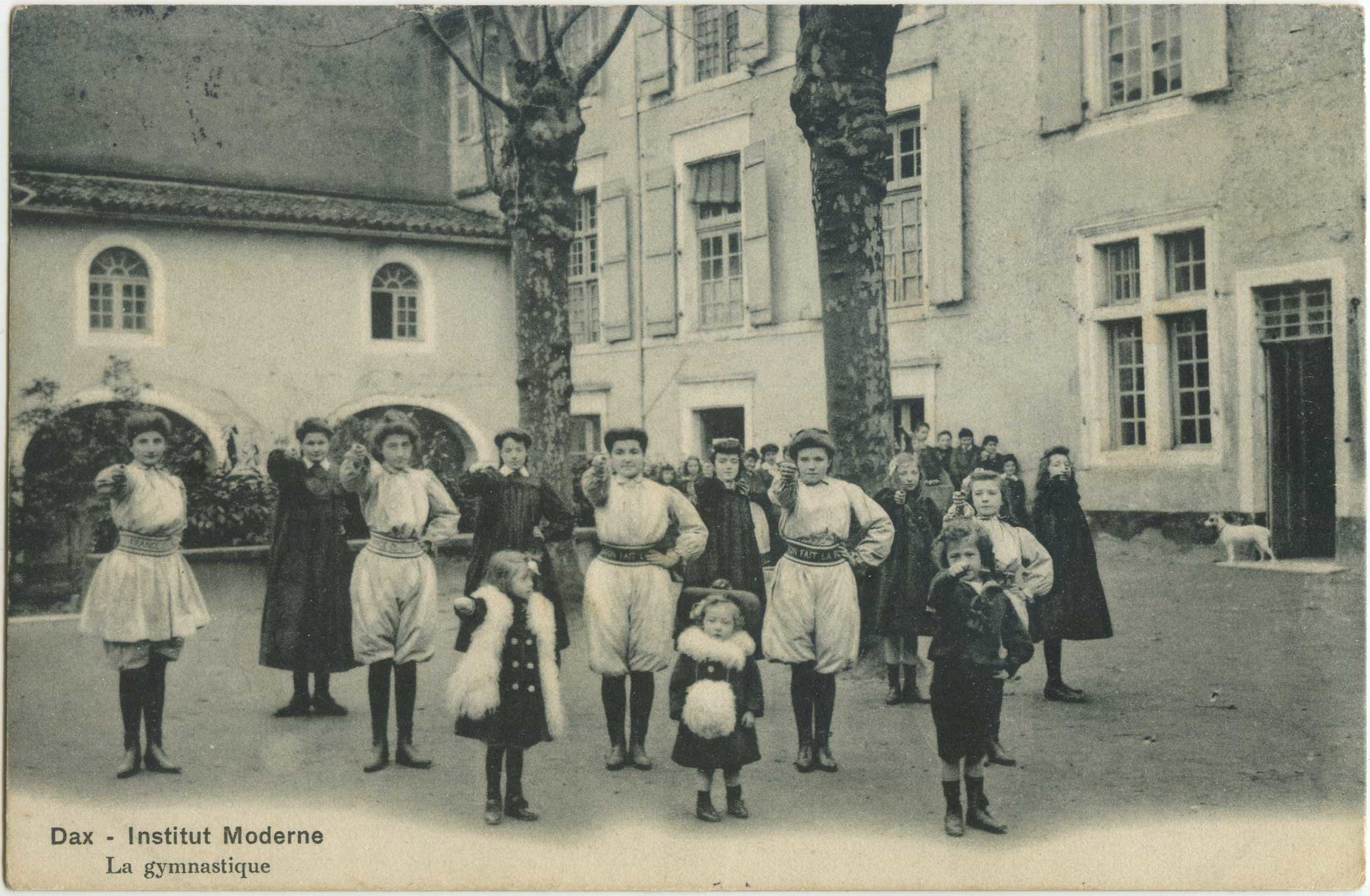 Dax - Institut Moderne - La gymnastique