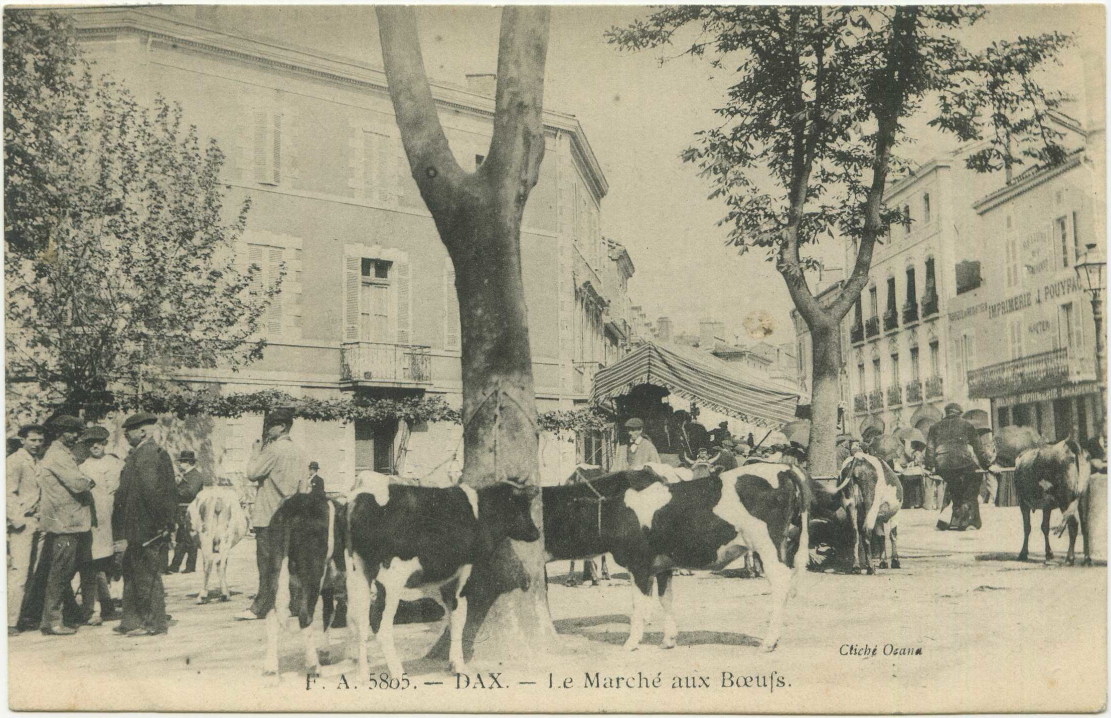 Dax - Le Marché aux Boeufs.