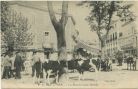 Carte postale ancienne - Dax - Le Marché aux Boeufs. Carte postale ancienne - Dax - Le Marché aux Boeufs.