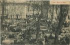 Carte postale ancienne - Dax - Marché aux Boeufs