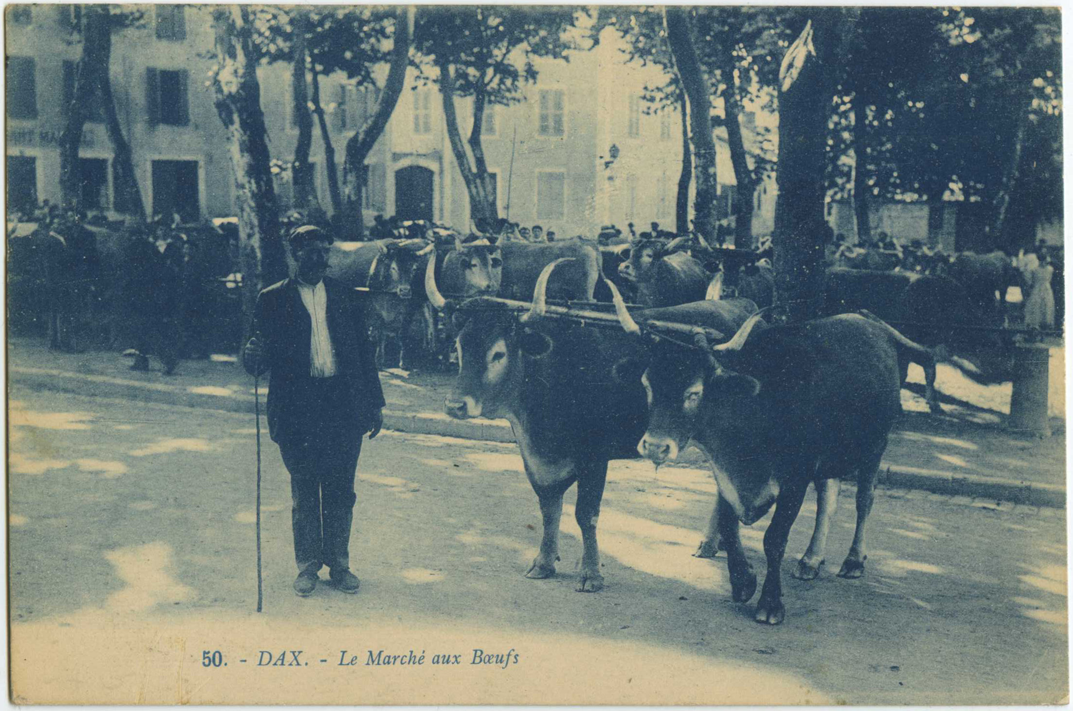 Dax - Le Marché aux Boeufs