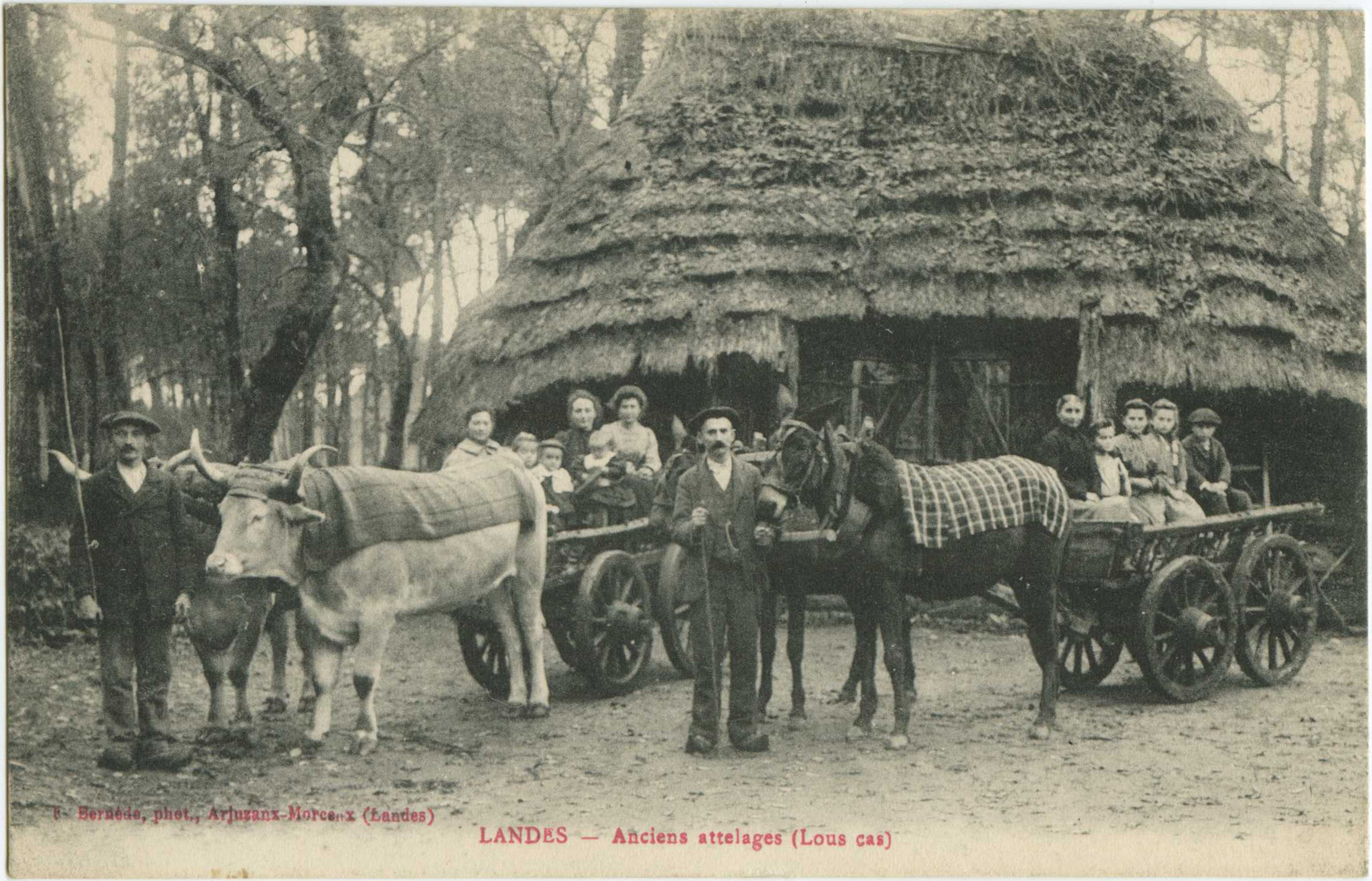 Landes - LANDES - Anciens attelages (Lous cas)