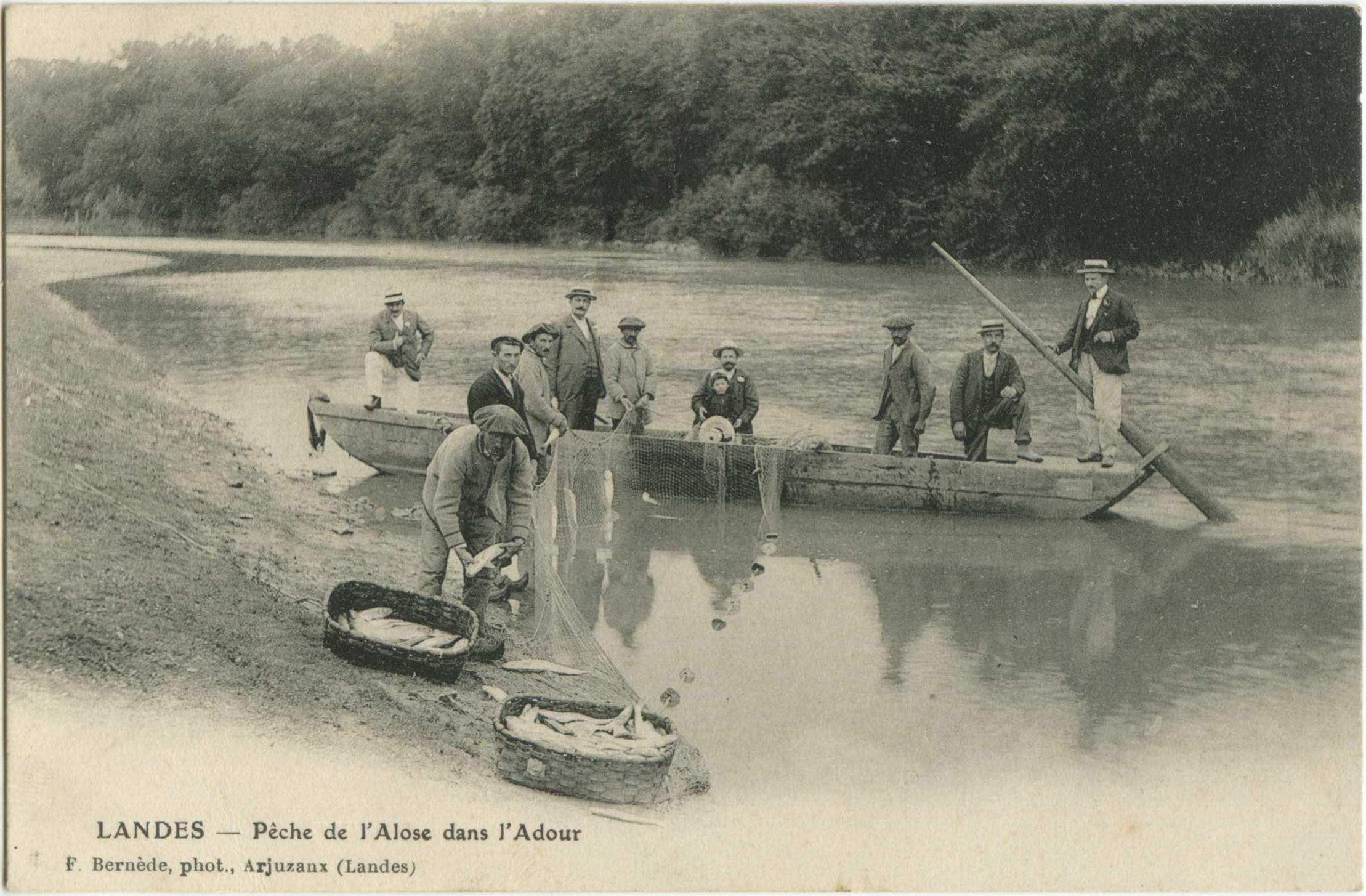 Landes - LANDES - Pêche de l'Alose dans l'Adour