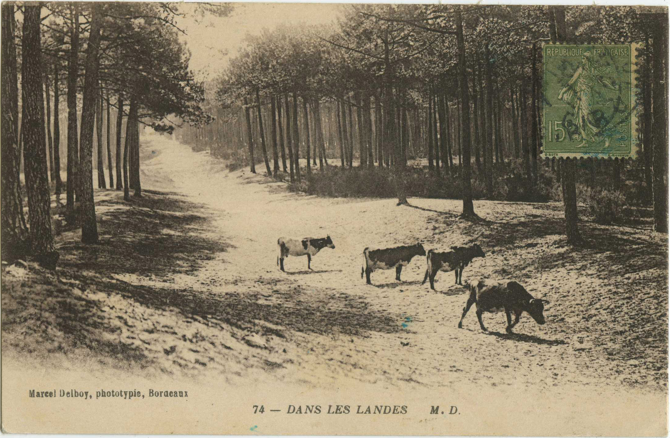 Landes - DANS LES LANDES