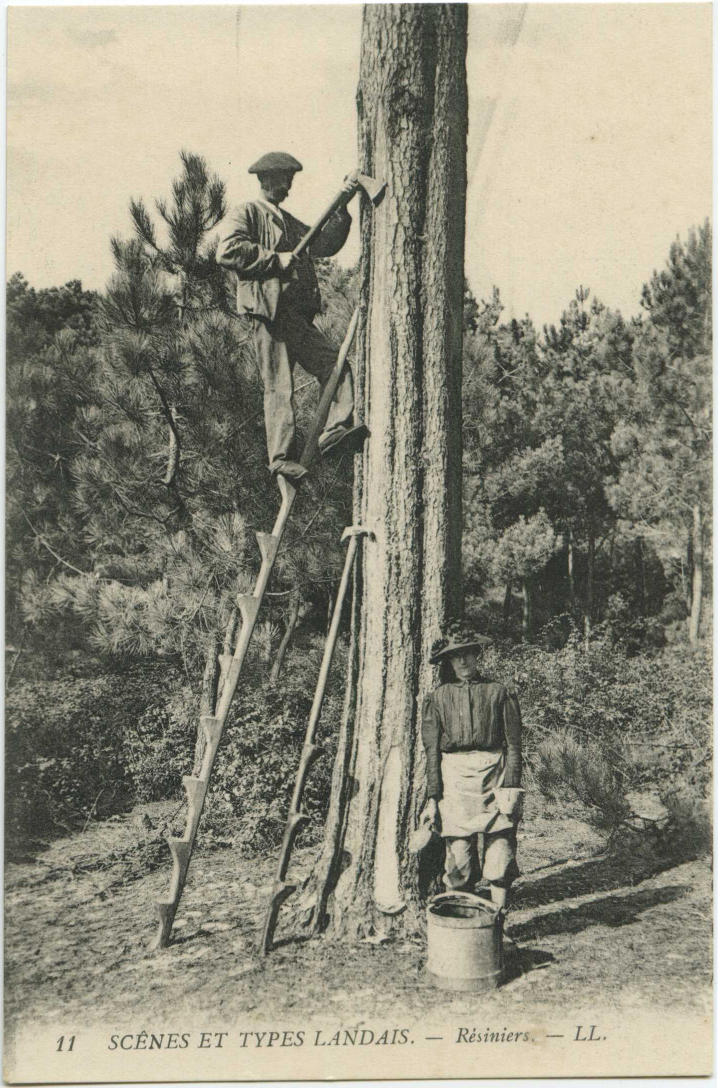 Landes - SCÈNES ET TYPES LANDAIS - Résiniers.